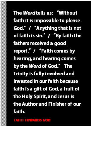 Text Box: The Word tells us: “Without faith it is impossible to please God.”/ “Anything that is not of faith is sin.”/ “By faith the fathers received a good report.”/ “Faith comes by hearing, and hearing comes by the Word of God.” The Trinity is fully involved and invested in our faith because faith is a gift of God, a fruit of the Holy Spirit, and Jesus is the Author and Finisher of our faith.  FAITH TOWARDS GOD  